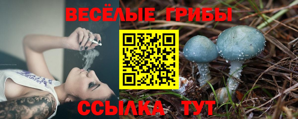 Псилоцибиновые грибы ЛСД  Вход с VPN  Ангарск  Галлюциногенные грибы прущие грибы 